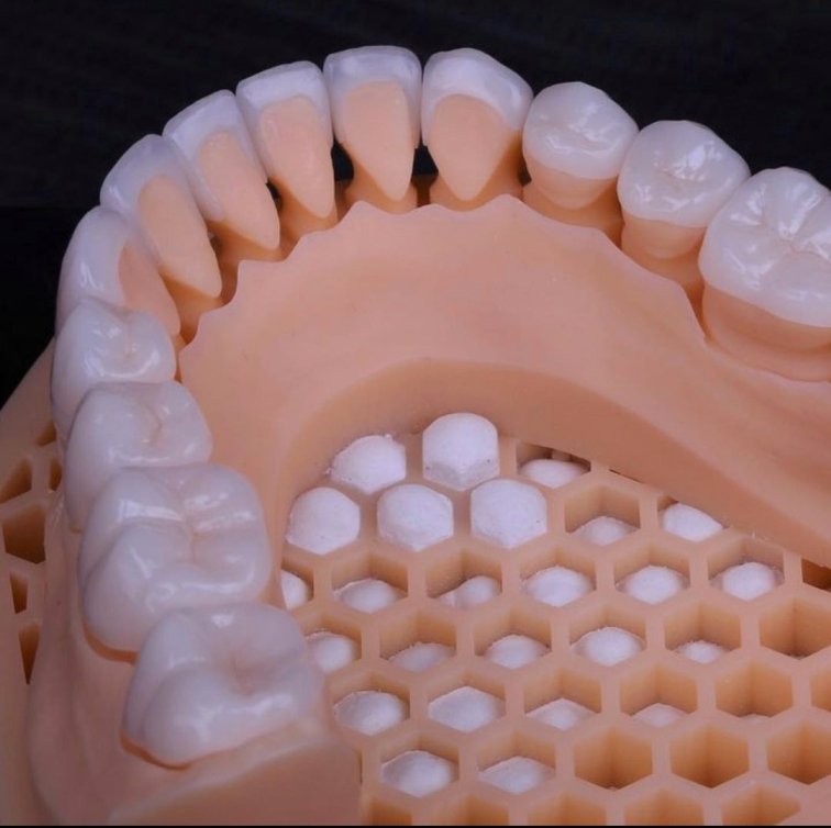 Ortho Care